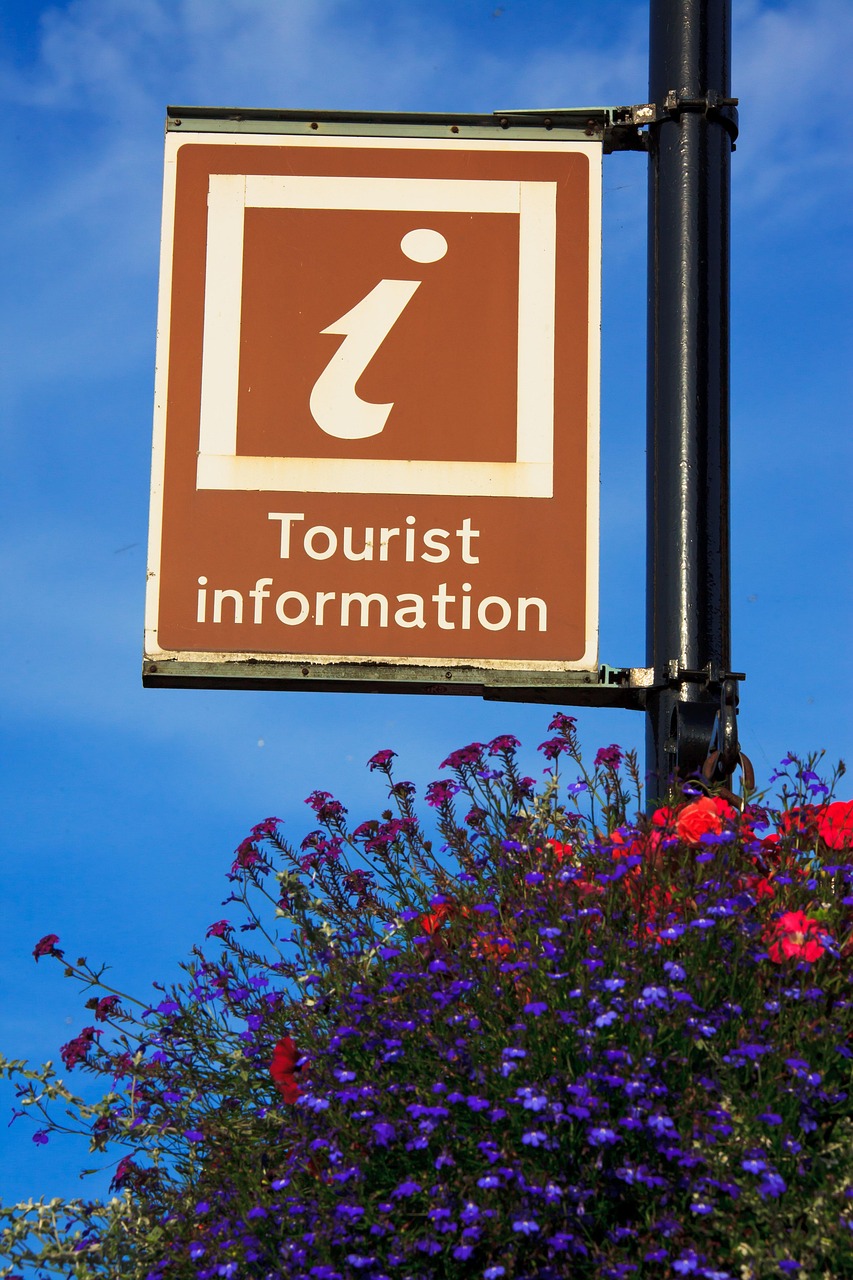 ask, flower wallpaper, blue, flower background, brown, beautiful flowers, help, nature, icon, blue sky, info, information, service, sign, signpost, sky, support, symbol, tourism, tourist, travel, flower, flowers, blue support, blue help, blue information, blue service