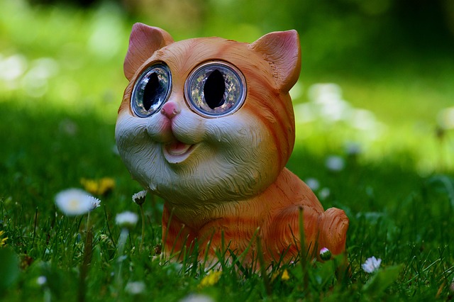 cat, meadow, pet, animal, cute, fun, solar
