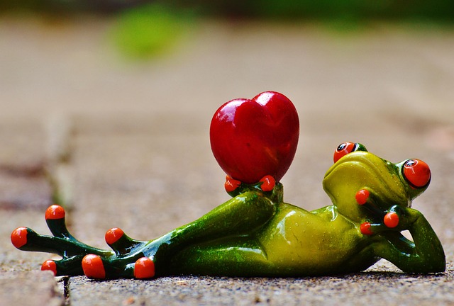 love, pose, heart, fun, frog, animal, nature, figure, cute
