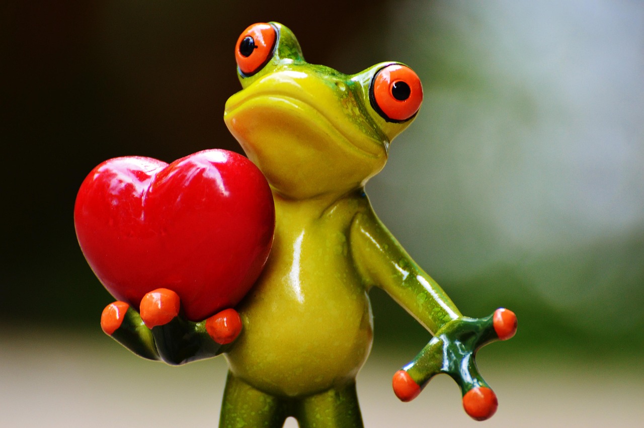love, pose, heart, fun, frog, nature, animal, figure, cute