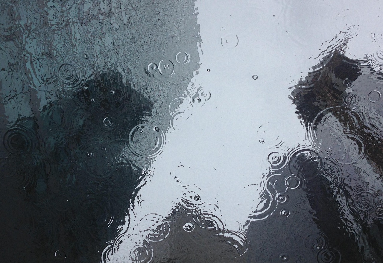 puddle, rain, raindrops, nature, raining, wet, ripples, water, water surface, clear, drop of water, droplets, drops, liquid, monochrome, reflection, water reflection
