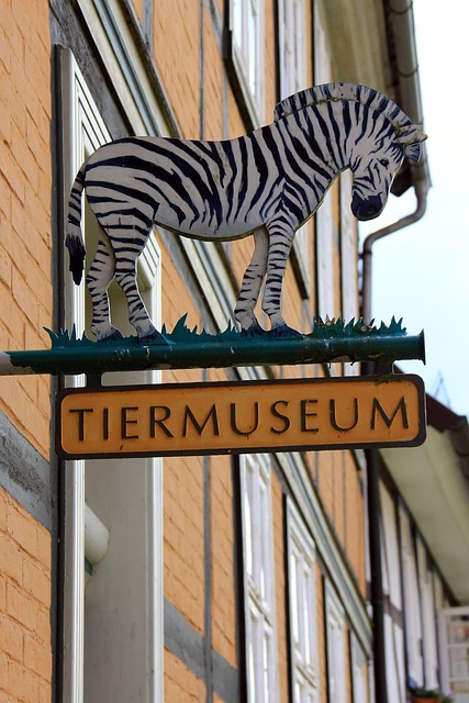 sign, nature, info, museum, animals, animal, zebra, alfeld