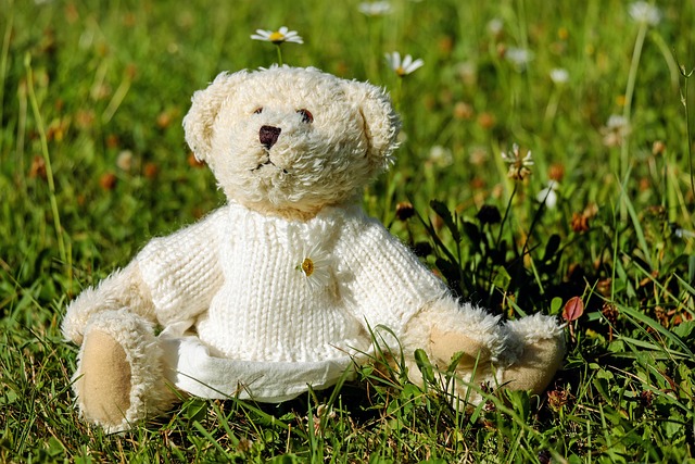teddy, plush, little bear, cute, cuddly toy, meadow